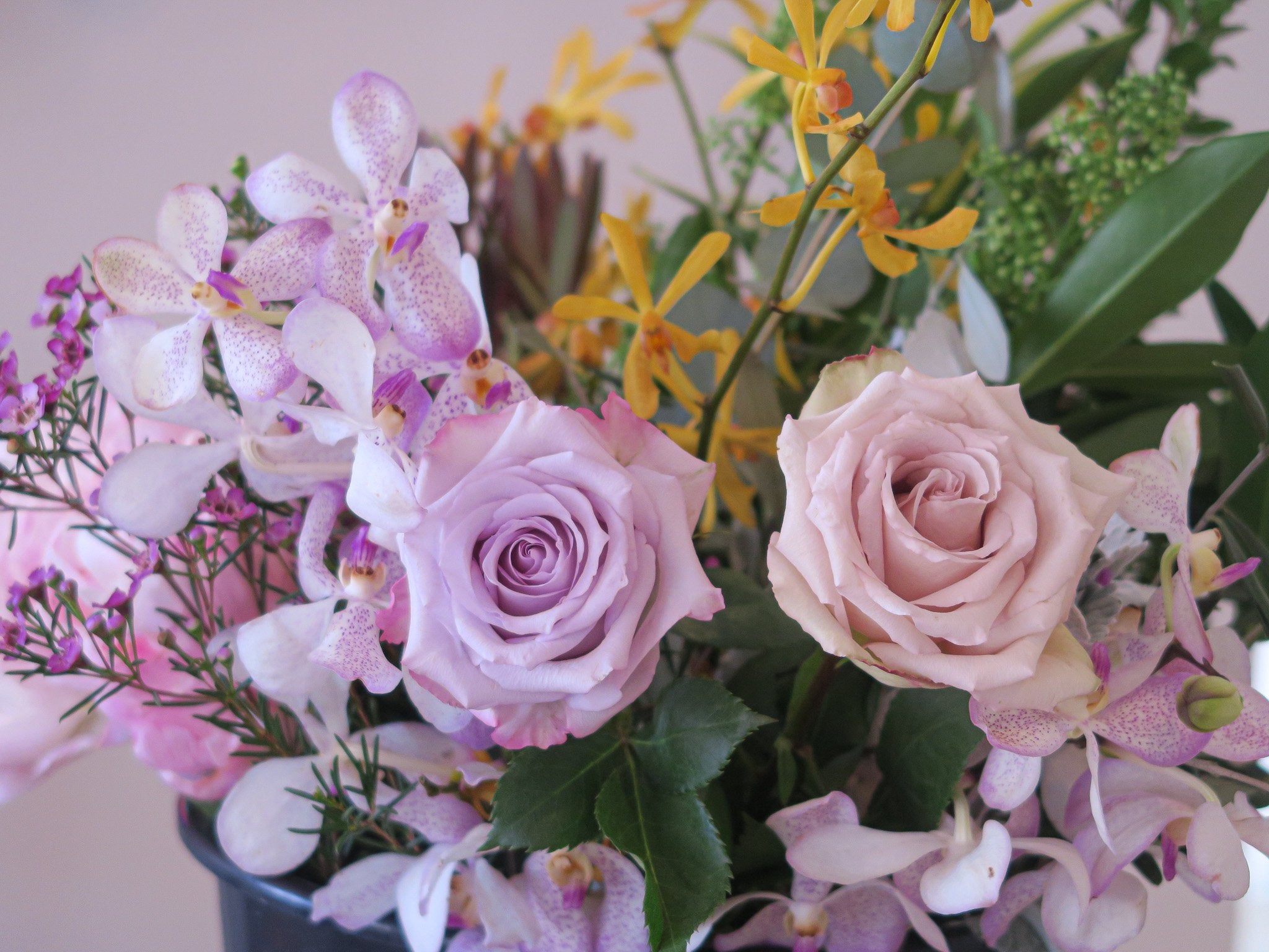 Downtown Ottawa Florist. Pickup & Flower Delivery. Est. 2000. Bel