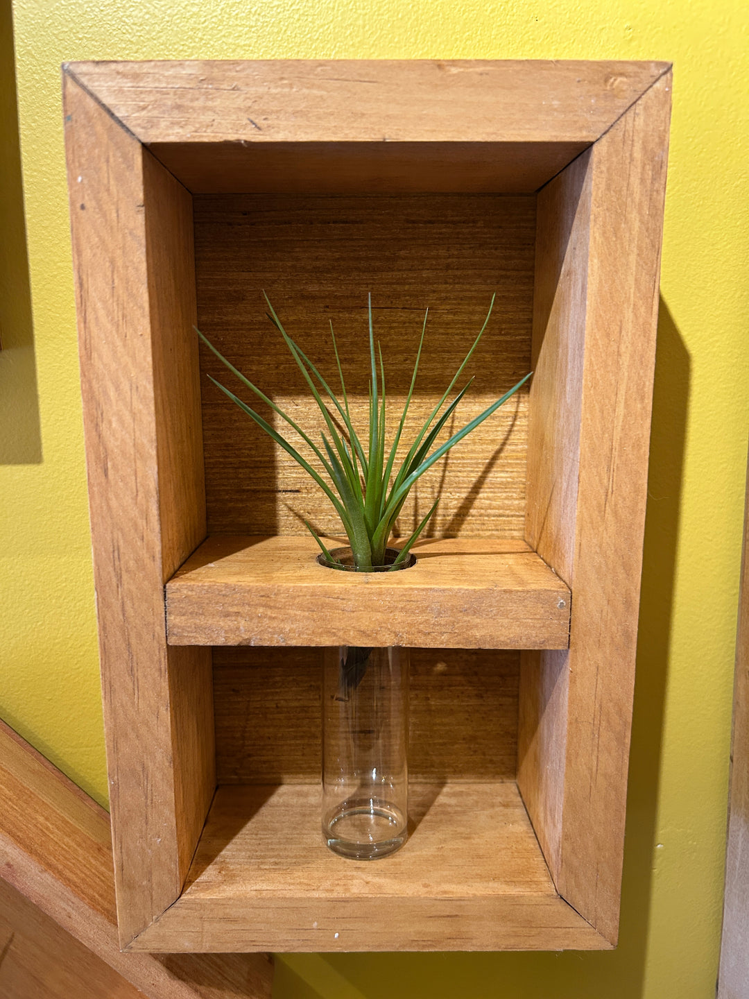 Framed vase