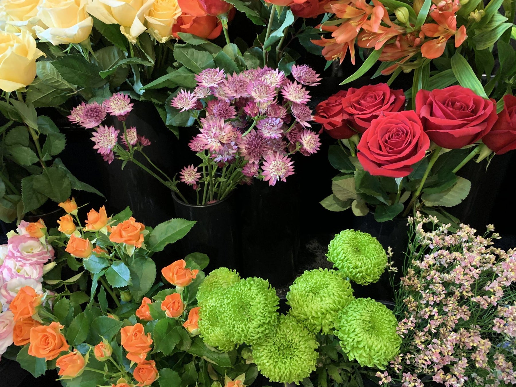 Centretown Ottawa Flower Shop. Get Long-lasting Flowers to Celebrate Any Occasion. Artist Flower Arrangements.